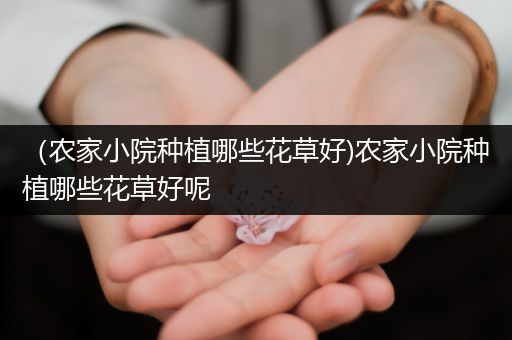 （农家小院种植哪些花草好)农家小院种植哪些花草好呢
