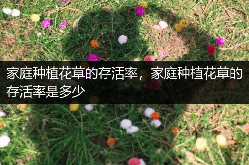 家庭种植花草的存活率，家庭种植花草的存活率是多少