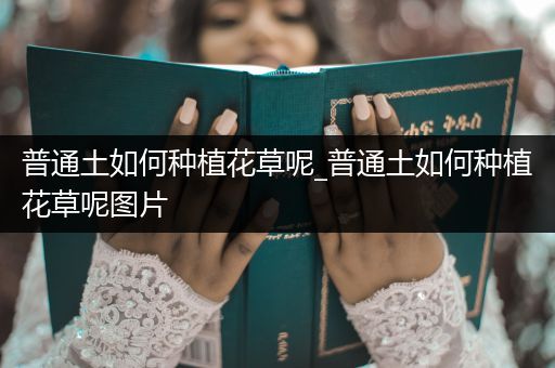 普通土如何种植花草呢_普通土如何种植花草呢图片
