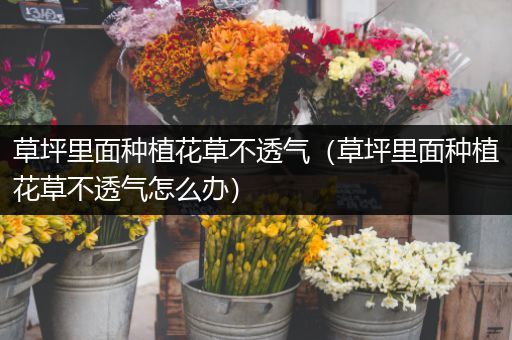 草坪里面种植花草不透气（草坪里面种植花草不透气怎么办）