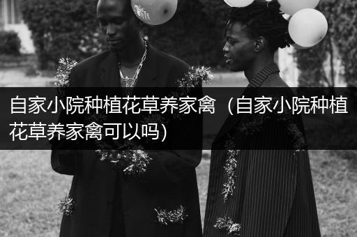 自家小院种植花草养家禽（自家小院种植花草养家禽可以吗）