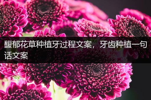 馥郁花草种植牙过程文案，牙齿种植一句话文案