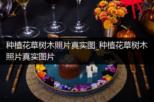 种植花草树木照片真实图_种植花草树木照片真实图片