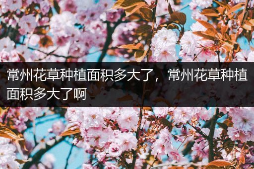 常州花草种植面积多大了，常州花草种植面积多大了啊