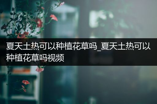 夏天土热可以种植花草吗_夏天土热可以种植花草吗视频