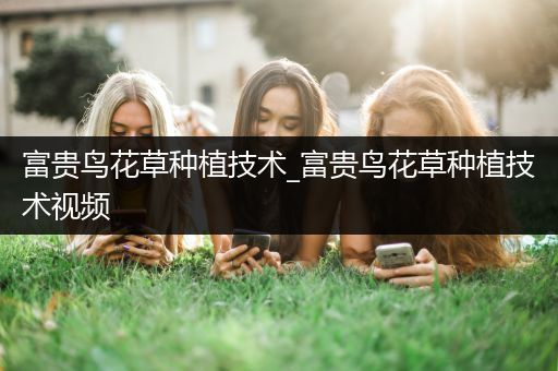 富贵鸟花草种植技术_富贵鸟花草种植技术视频