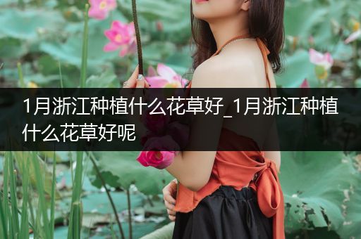 1月浙江种植什么花草好_1月浙江种植什么花草好呢