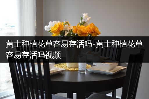 黄土种植花草容易存活吗-黄土种植花草容易存活吗视频