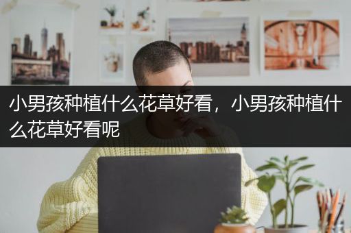 小男孩种植什么花草好看，小男孩种植什么花草好看呢