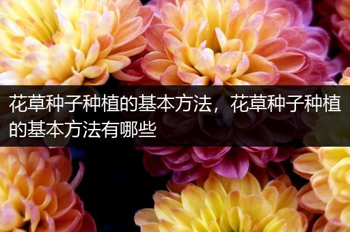 花草种子种植的基本方法，花草种子种植的基本方法有哪些