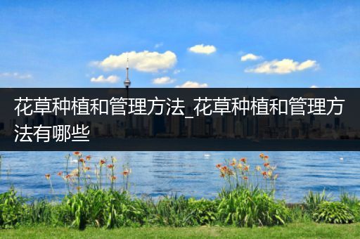 花草种植和管理方法_花草种植和管理方法有哪些
