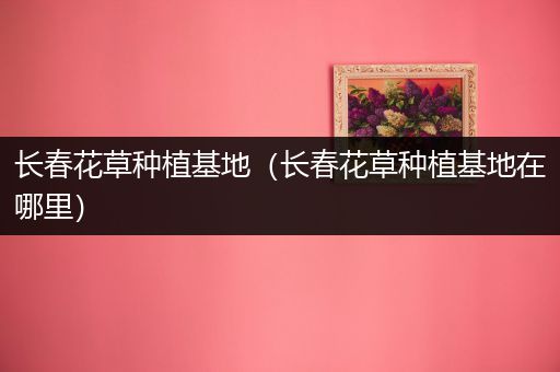 长春花草种植基地（长春花草种植基地在哪里）