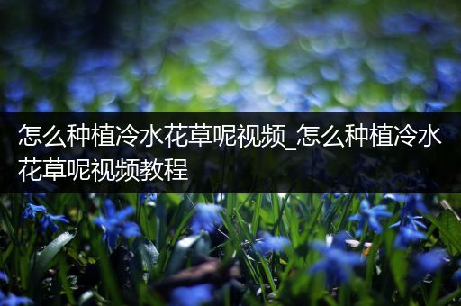 怎么种植冷水花草呢视频_怎么种植冷水花草呢视频教程