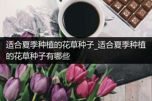适合夏季种植的花草种子_适合夏季种植的花草种子有哪些