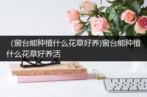 （窗台能种植什么花草好养)窗台能种植什么花草好养活