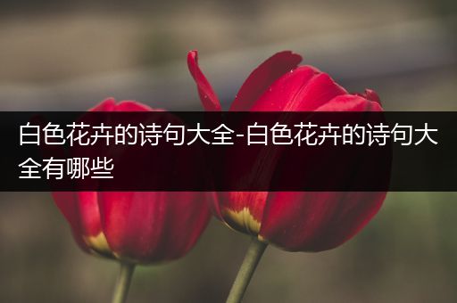 白色花卉的诗句大全-白色花卉的诗句大全有哪些
