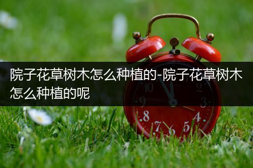 院子花草树木怎么种植的-院子花草树木怎么种植的呢