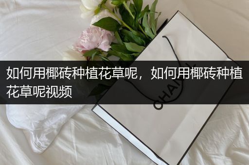 如何用椰砖种植花草呢，如何用椰砖种植花草呢视频