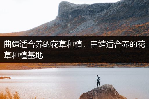 曲靖适合养的花草种植，曲靖适合养的花草种植基地
