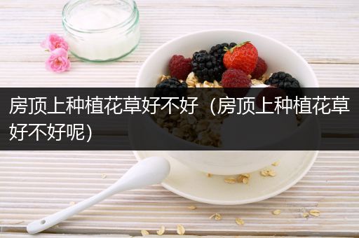 房顶上种植花草好不好（房顶上种植花草好不好呢）