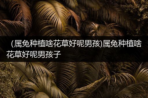 （属兔种植啥花草好呢男孩)属兔种植啥花草好呢男孩子