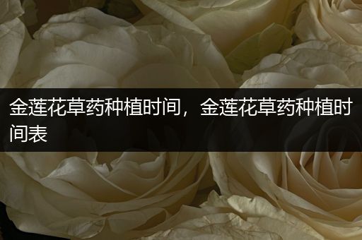 金莲花草药种植时间，金莲花草药种植时间表