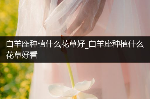 白羊座种植什么花草好_白羊座种植什么花草好看