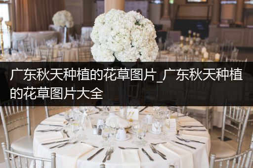 广东秋天种植的花草图片_广东秋天种植的花草图片大全
