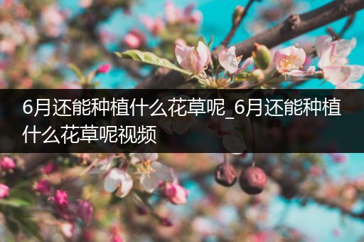 6月还能种植什么花草呢_6月还能种植什么花草呢视频