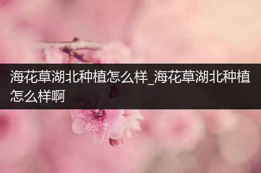 海花草湖北种植怎么样_海花草湖北种植怎么样啊