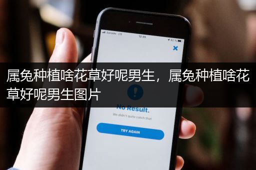 属兔种植啥花草好呢男生，属兔种植啥花草好呢男生图片