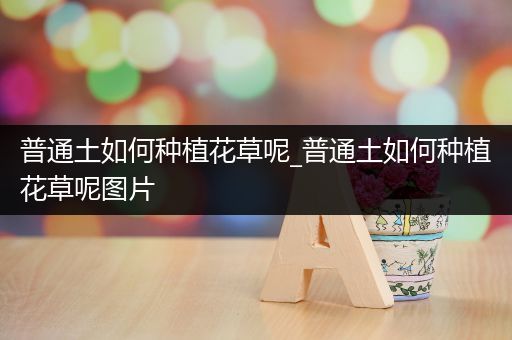 普通土如何种植花草呢_普通土如何种植花草呢图片