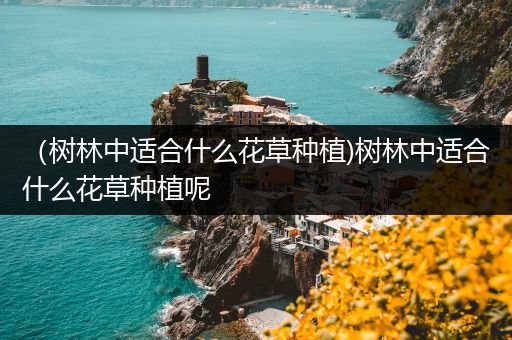 （树林中适合什么花草种植)树林中适合什么花草种植呢