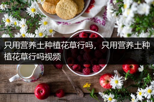 只用营养土种植花草行吗，只用营养土种植花草行吗视频