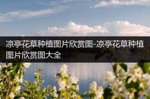 凉亭花草种植图片欣赏图-凉亭花草种植图片欣赏图大全