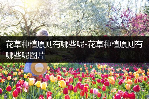花草种植原则有哪些呢-花草种植原则有哪些呢图片