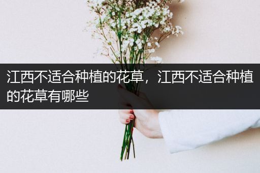 江西不适合种植的花草，江西不适合种植的花草有哪些