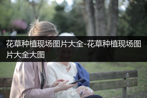 花草种植现场图片大全-花草种植现场图片大全大图