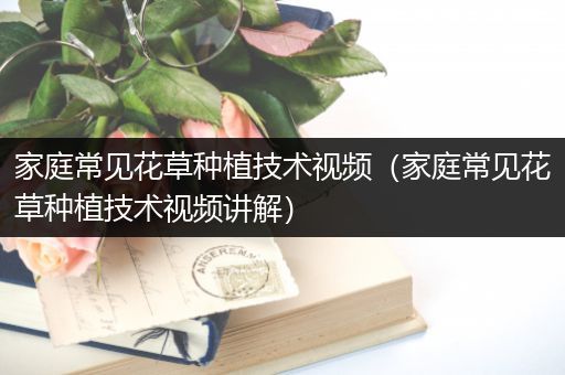 家庭常见花草种植技术视频（家庭常见花草种植技术视频讲解）