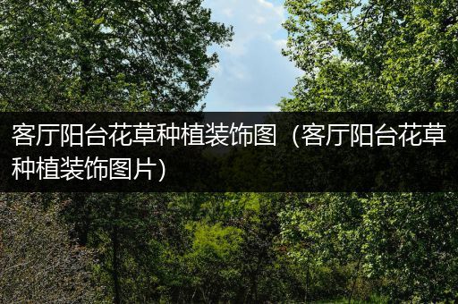 客厅阳台花草种植装饰图（客厅阳台花草种植装饰图片）