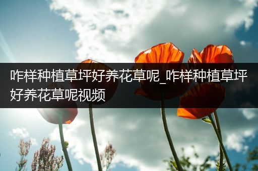 咋样种植草坪好养花草呢_咋样种植草坪好养花草呢视频
