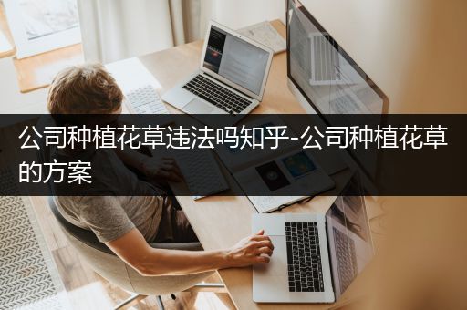 公司种植花草违法吗知乎-公司种植花草的方案