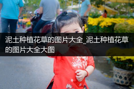 泥土种植花草的图片大全_泥土种植花草的图片大全大图