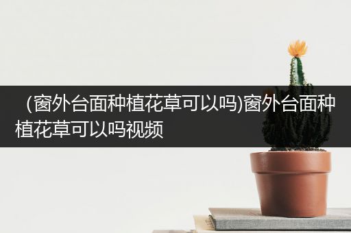 （窗外台面种植花草可以吗)窗外台面种植花草可以吗视频