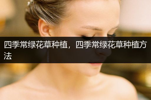 四季常绿花草种植，四季常绿花草种植方法