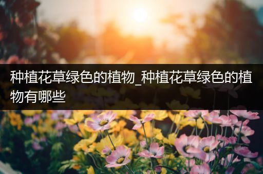 种植花草绿色的植物_种植花草绿色的植物有哪些