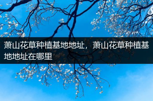 萧山花草种植基地地址，萧山花草种植基地地址在哪里