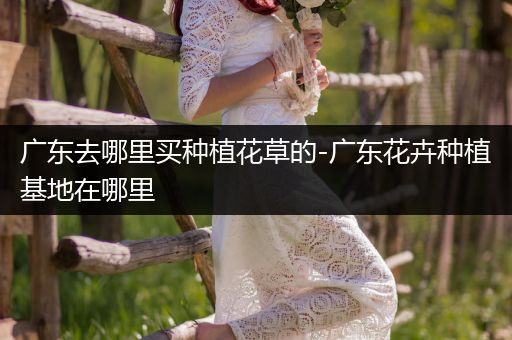 广东去哪里买种植花草的-广东花卉种植基地在哪里