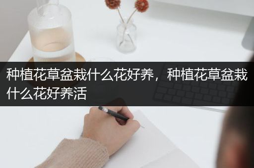 种植花草盆栽什么花好养，种植花草盆栽什么花好养活