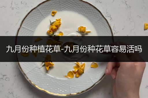 九月份种植花草-九月份种花草容易活吗